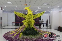 唐山市民快到世園會(huì)看國(guó)際精品蘭花展