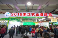 看展覽、嘗美食、囤年貨 2016浙江農(nóng)博會(huì)